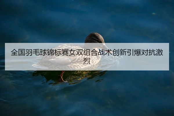 全国羽毛球锦标赛女双组合战术创新引爆对抗激烈
